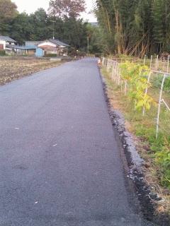 果樹園北側の道路がアスファルト舗装されました