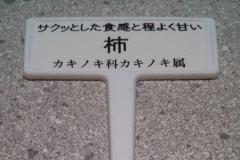 勝手に品種名を付けてみました