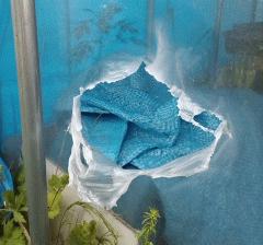 温室の結界が破られました！