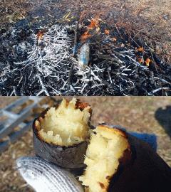 この時期の楽しみは焼き芋です